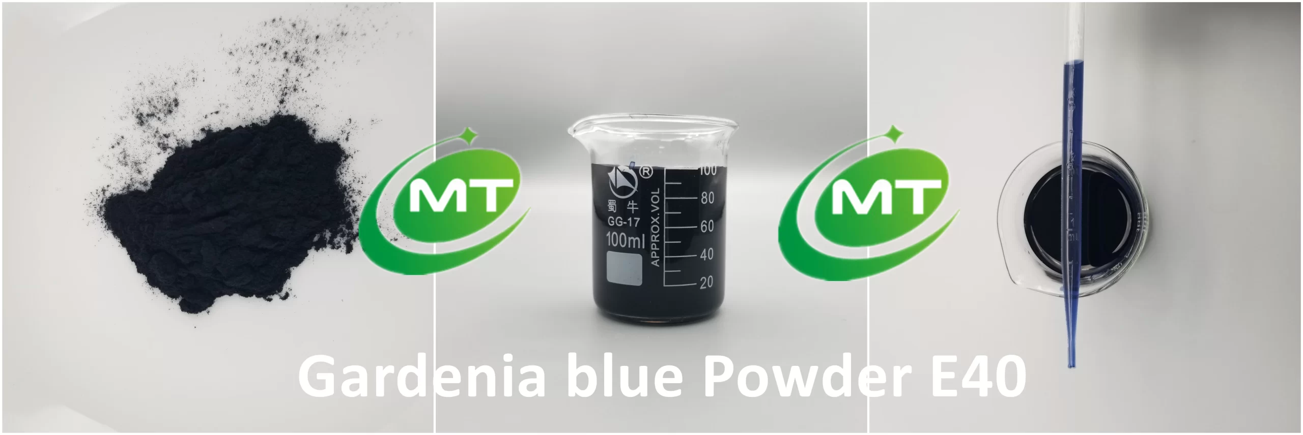 Gardenia Blue Powder插图1 Gardenia Blue Powder插图1