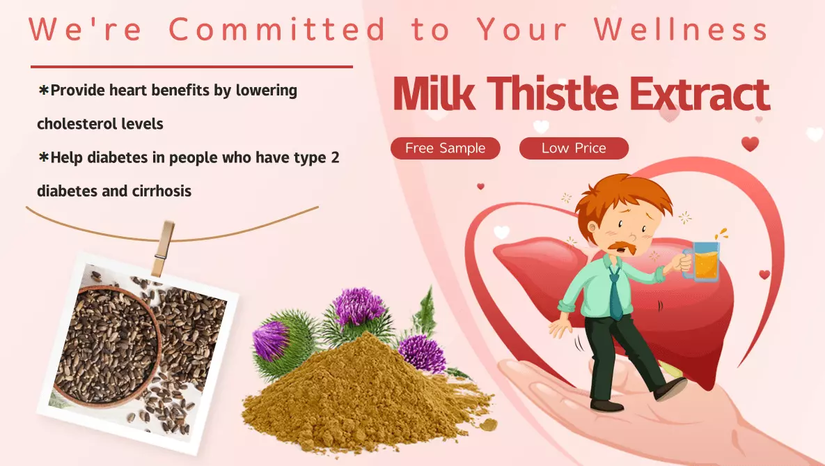 What is milk thistle extract good for?插图 What is milk thistle extract good for?插图