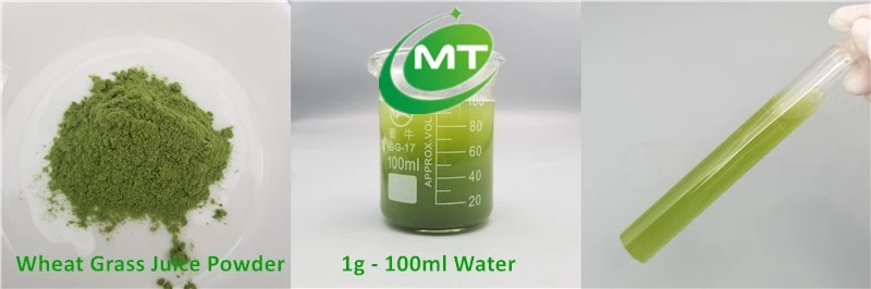 Wheat Grass Juice Powder插图1