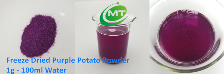 What are the benefits of purple potato powder?插图 Purple sweet Potato