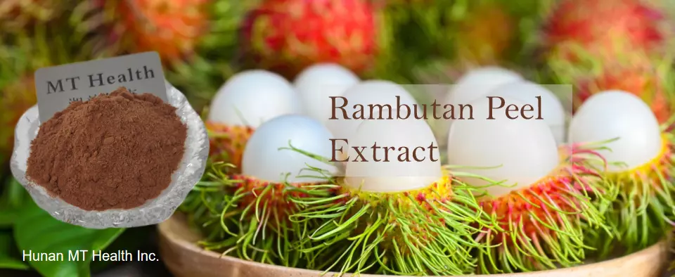 Rambutan Peel Extract插图1