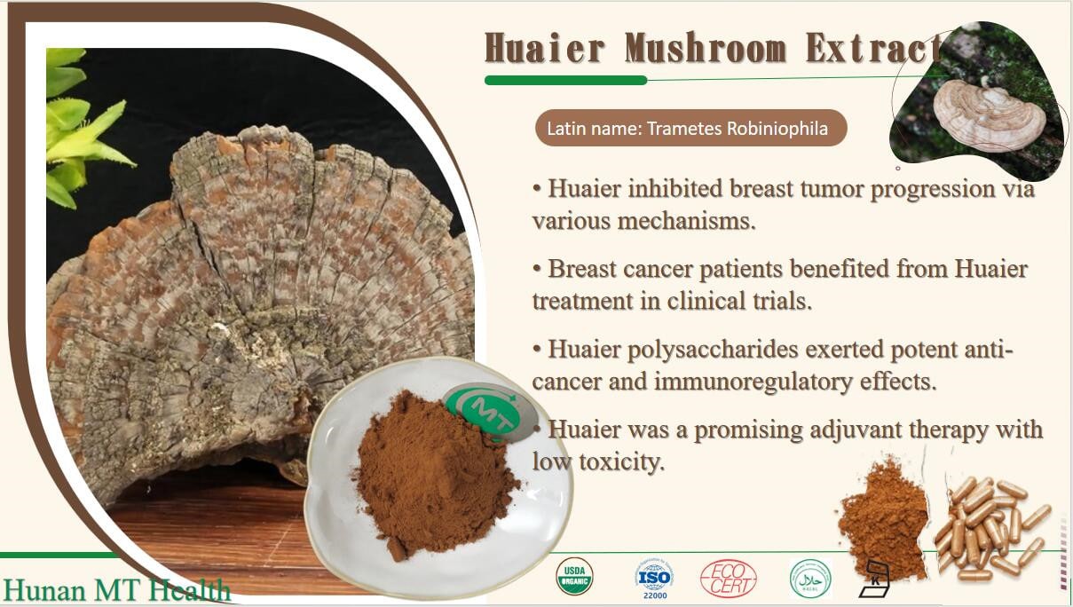 What is huaier mushroom extract?插图