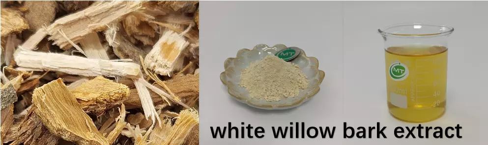 What is white willow bark extract good for?插图