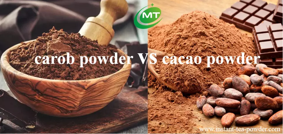 Carob Powder vs. Cacao Powder插图