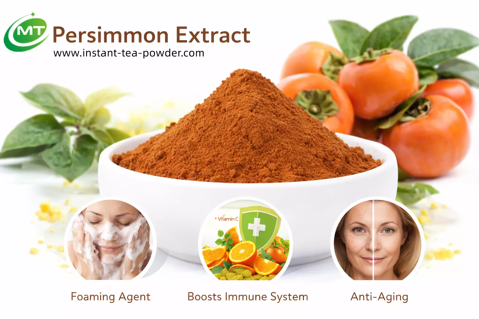 What Is Persimmon Leaf Extract Good For? Benefits, Uses, and Commercial Value插图