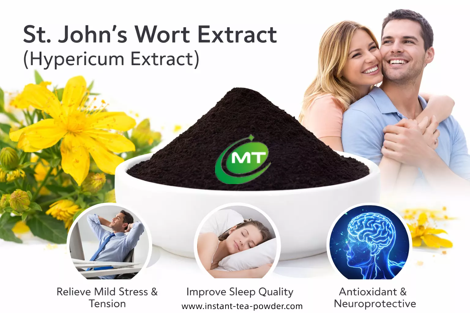 What does St. John’s Wort extract do?插图 What does St. John’s Wort extract do?插图