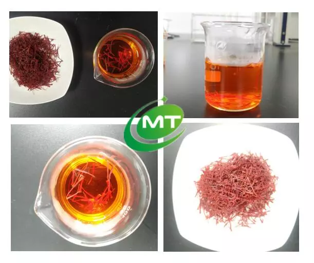 Saffron Extract: Benefits, Key Compounds, Applications and Specifications插图1 Saffron Extract: Benefits, Key Compounds, Applications and Specifications插图1