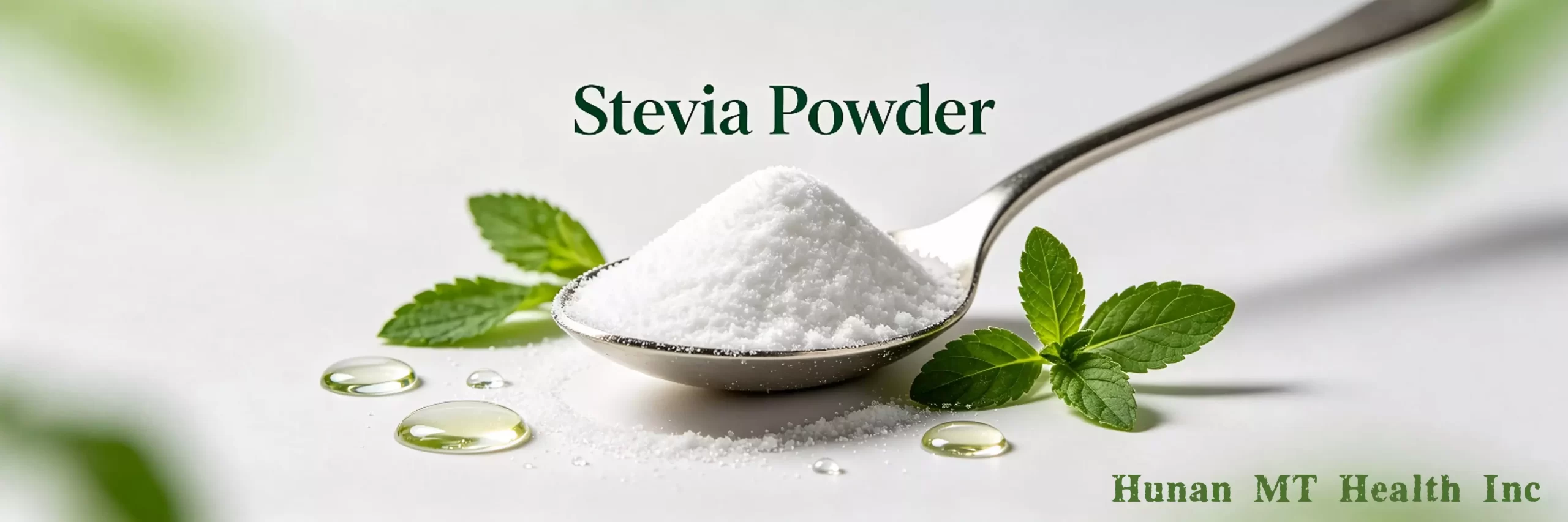 Stevia Powder for Modern Food Innovation插图