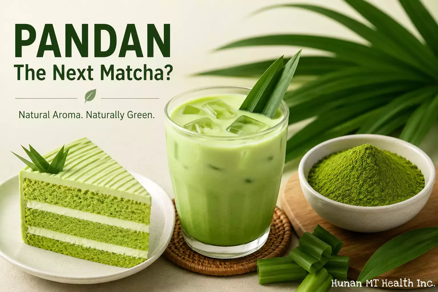 Is Pandan the Next Matcha? Why Pandan Powder Is Gaining Attention in Global Food Innovation插图1 Pandan Extract Powder