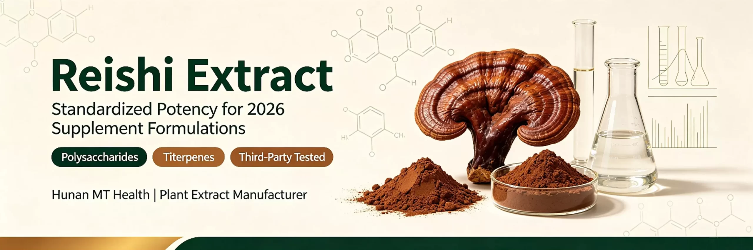 what is reishi extract​ 