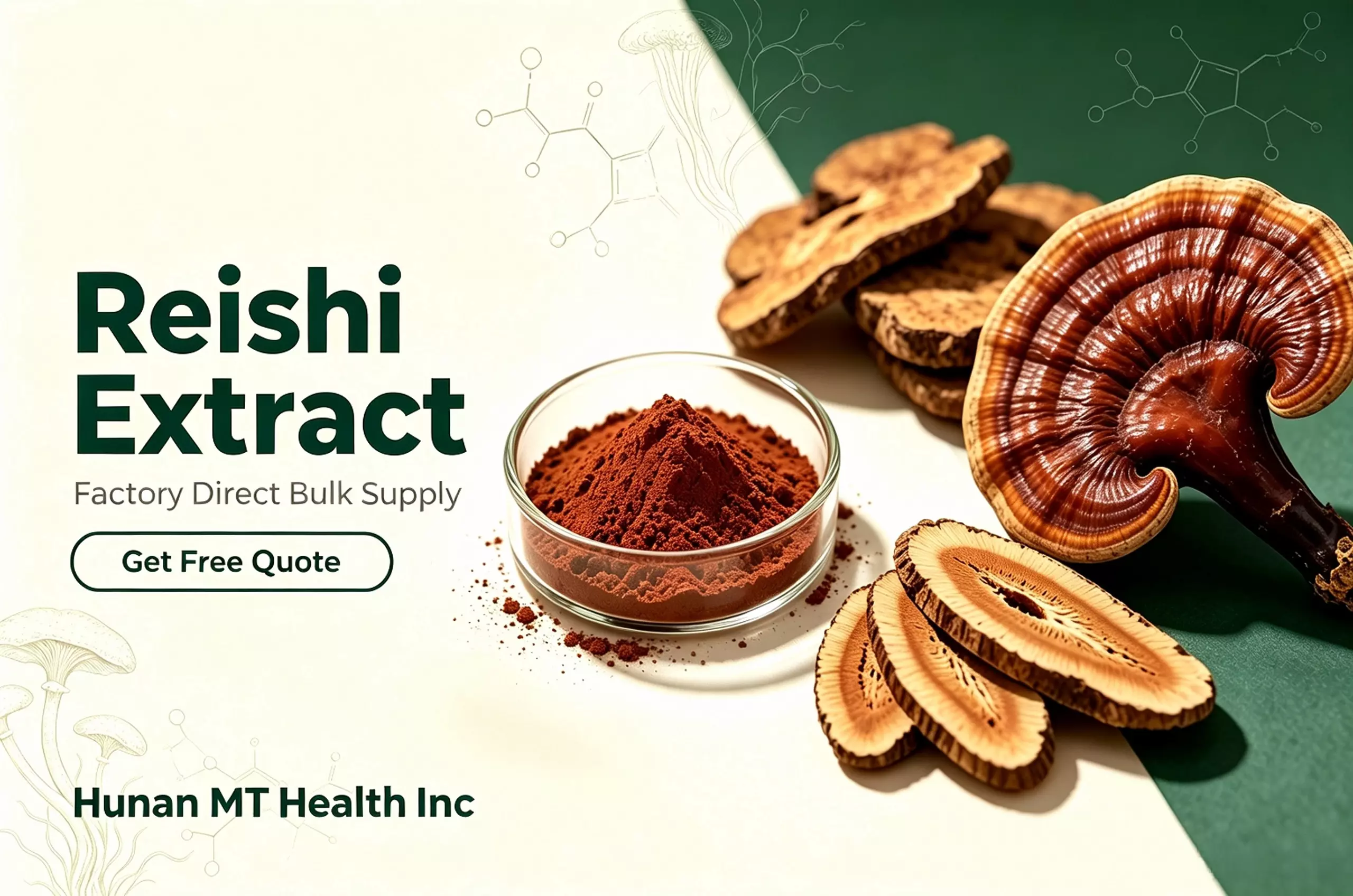 mushroom extract reishi