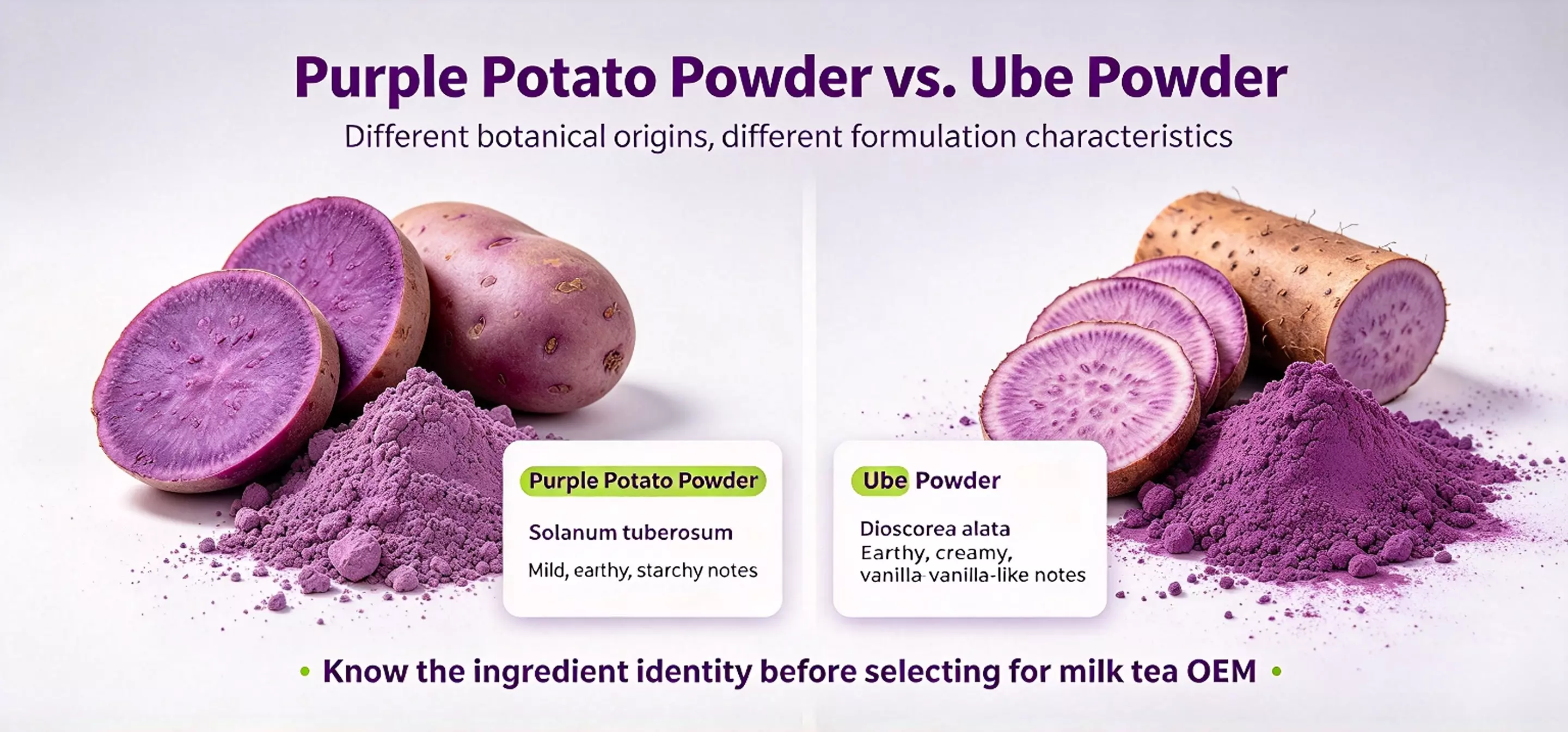 Purple Potato Powder vs. Ube Powder: Which Works Better for Instant Milk-Tea OEM?插图 Purple Potato Powder