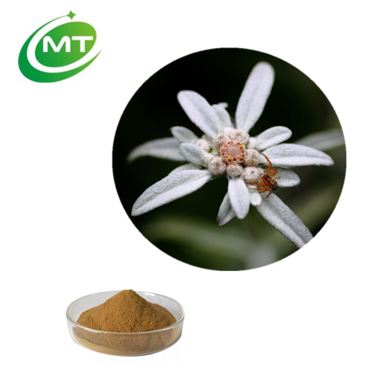 Edelweiss Extract