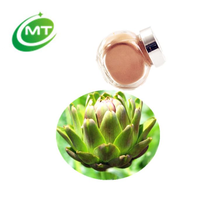 Artichoke Extract