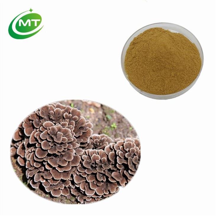 Maitake Mushroom Extract