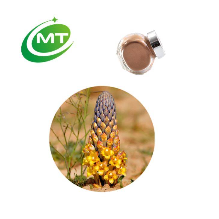 Cistanche Tubulosa Extract