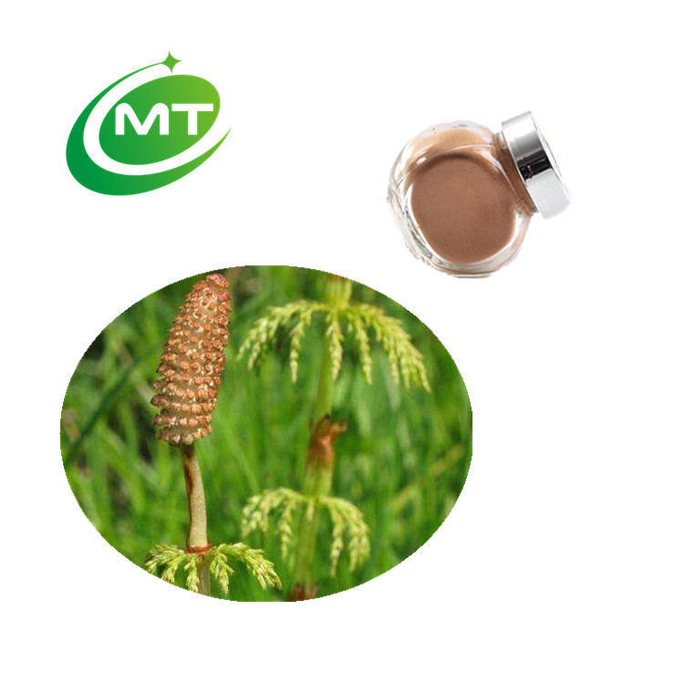 Horsetail Extract