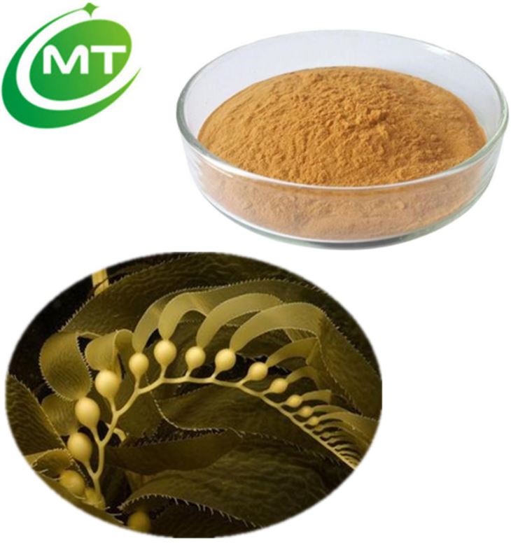 Ascophyllum Nodosum Extract