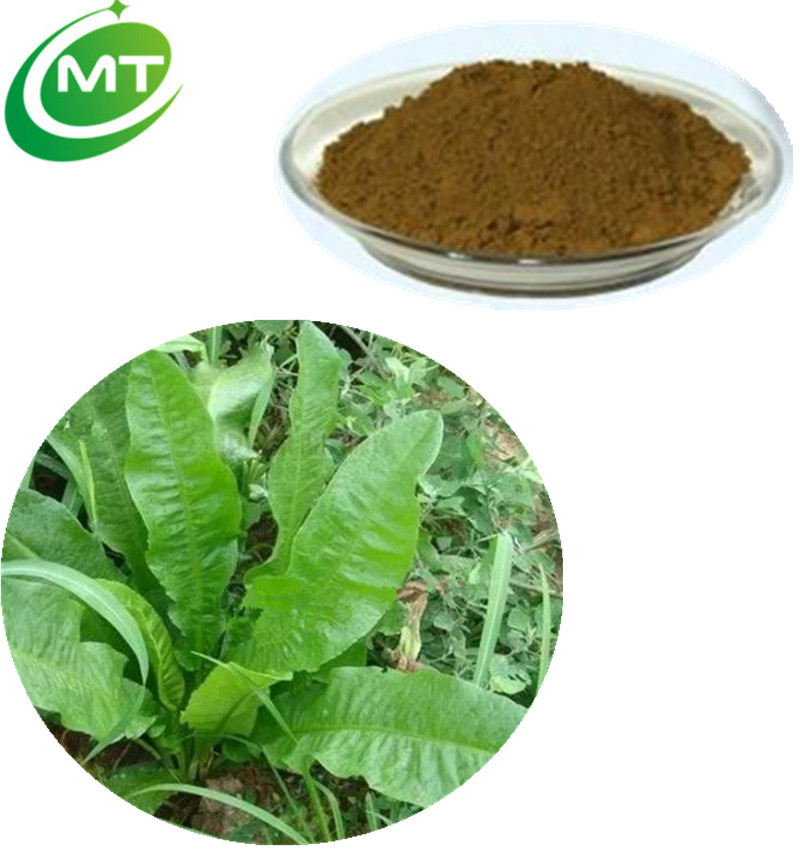 Sorrel Extract