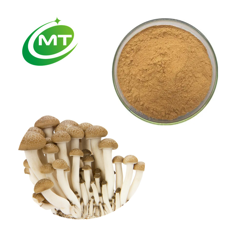 Hypsizygus marmoreus extract