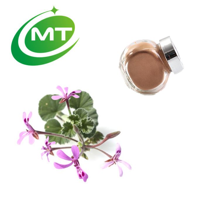 Pelargonium Extract