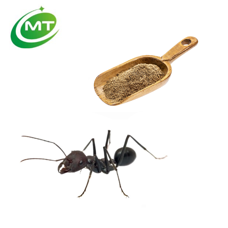 Екстракт от черна мравка
