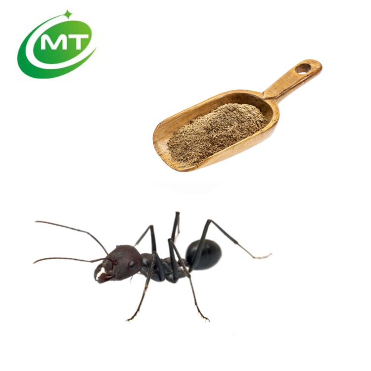 Black Ant Extract