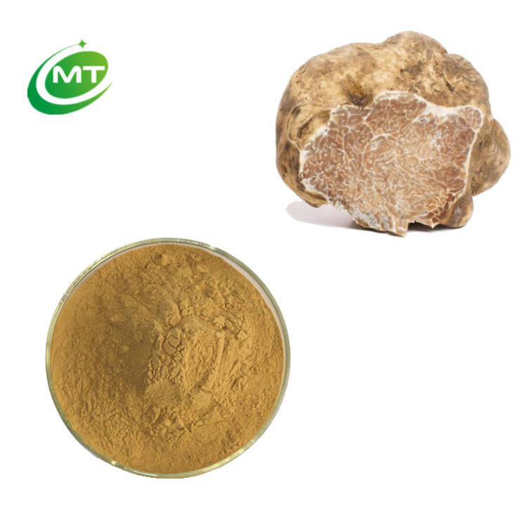 Tuber Magnatum Extract