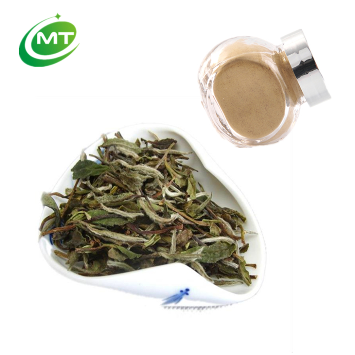 Bai Mu Dan Tea Extract