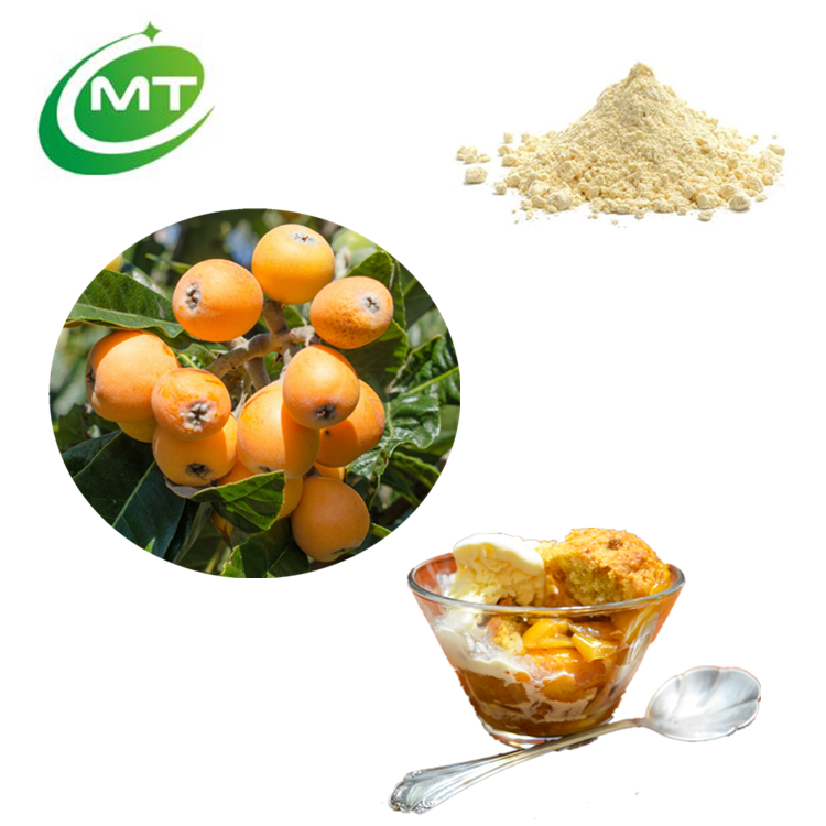 Loquat Fruit Powder