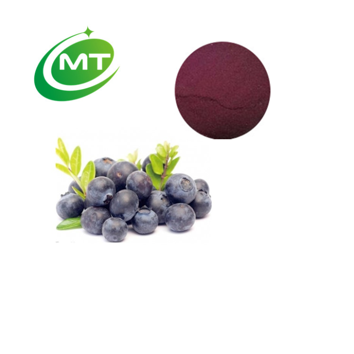 Bilberry Extract