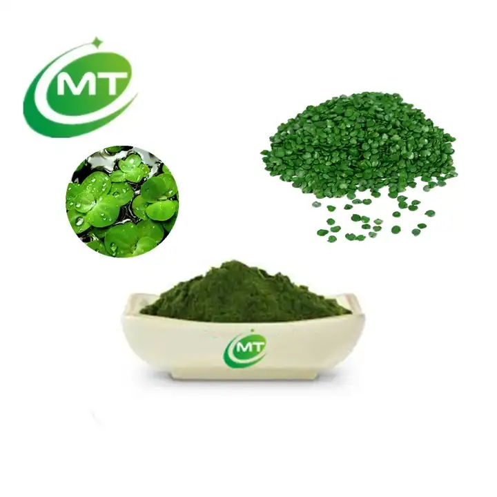 Duckweed powder