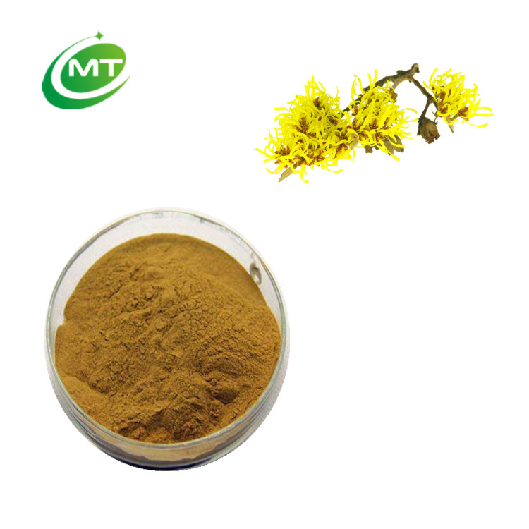 Hamamelis Extract