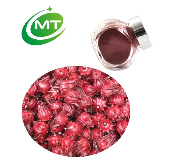 Hibiscus Flower Extract