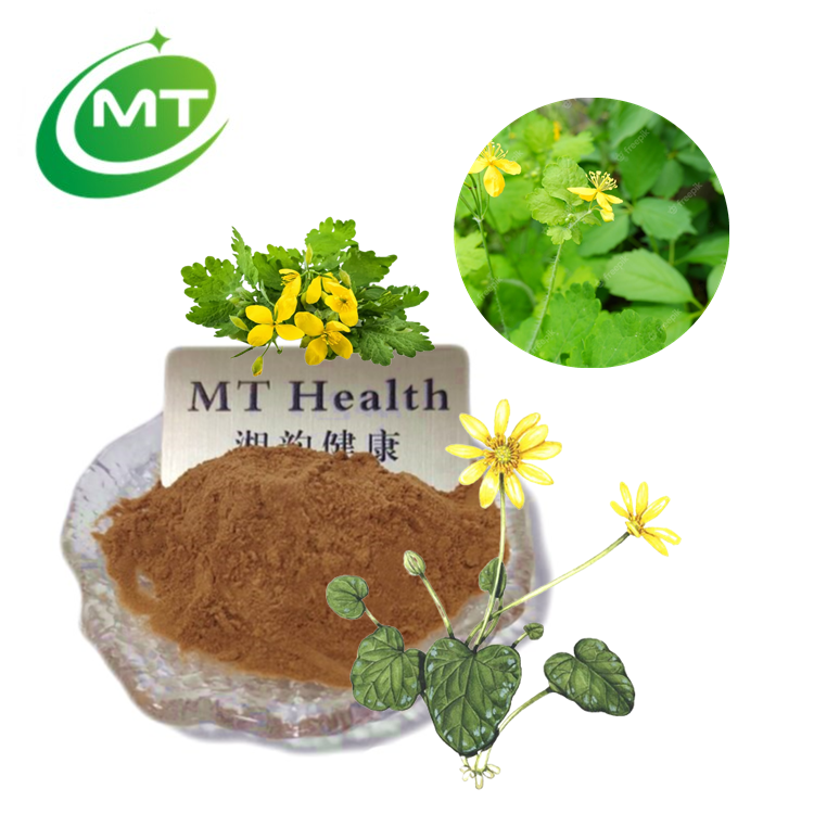 Celandine Extract