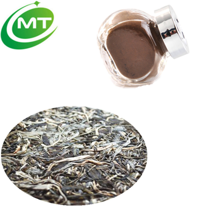 Pu Erh Tea Extract