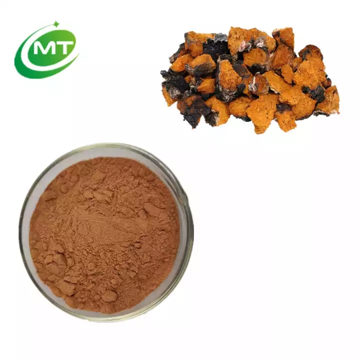 Chaga Mushroom Powder