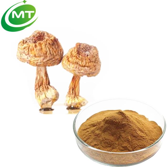 Agaricus Extract