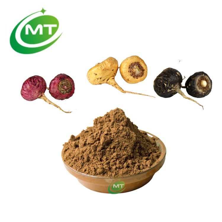 Maca Extract