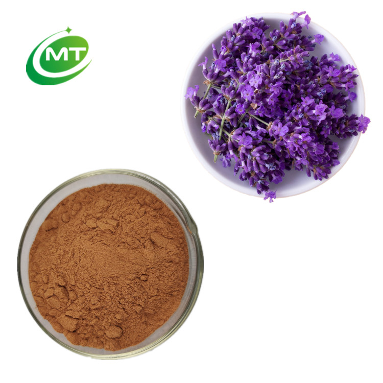 Lavender Extract