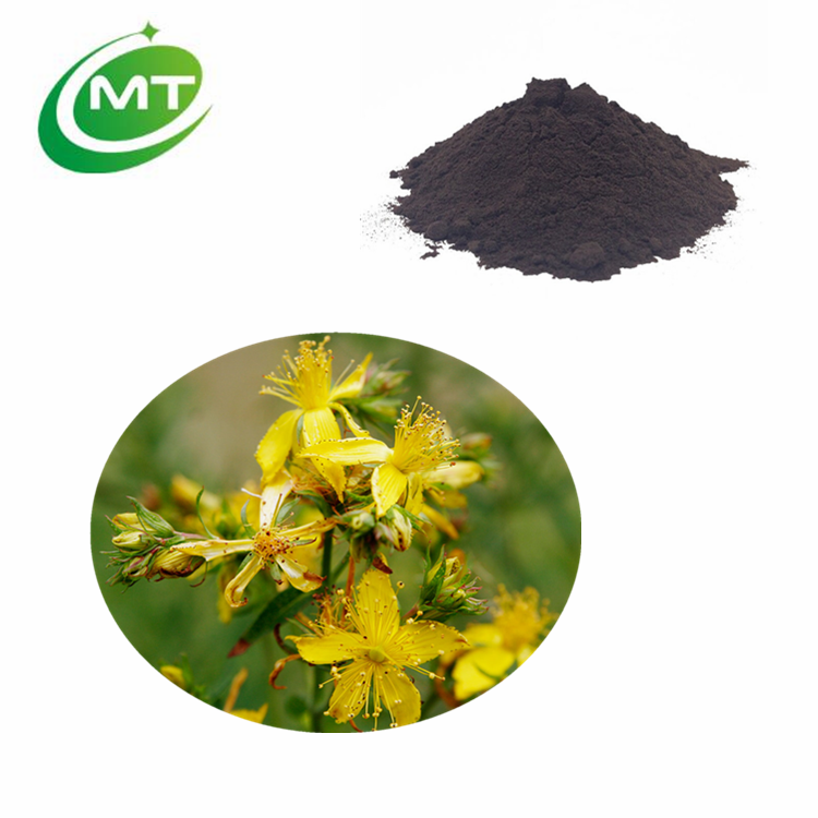 St. John’s Wort Extract