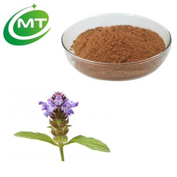 Prunella Vulgaris Extract