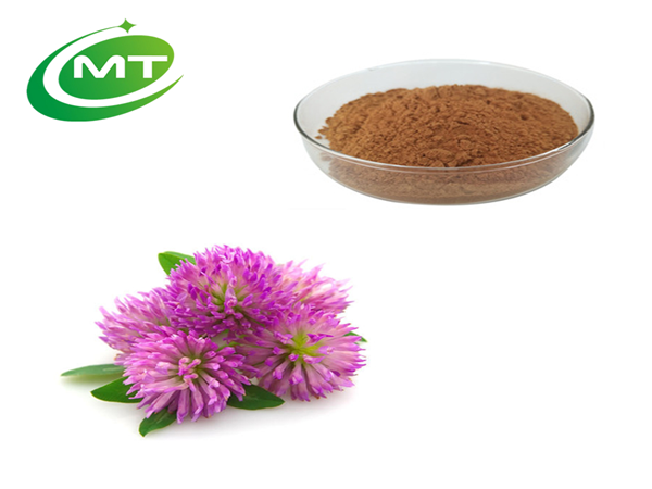 Red Clover Extract