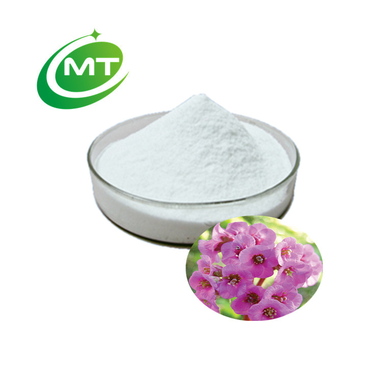 Bergenia Purpurascens Extract