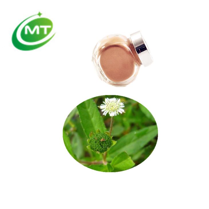 Eclipta Alba Extract