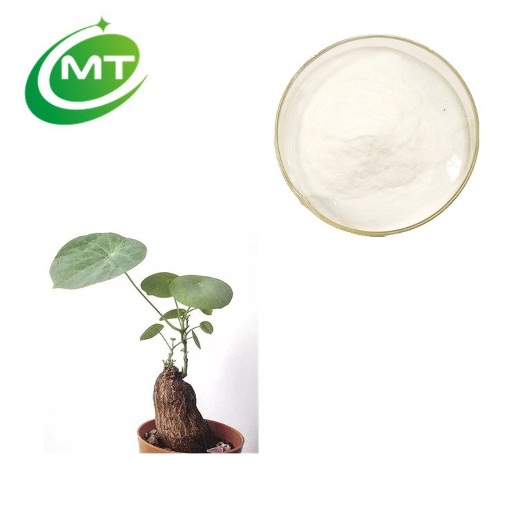 Cepharanthine Powder