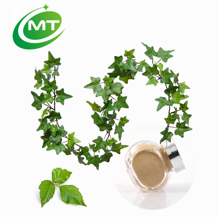 Ivy Leaf Extract