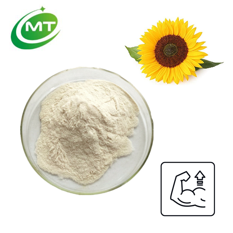 Sunflower Protein Powder