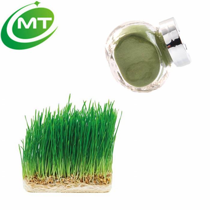 Wheat Grass Juice Powder