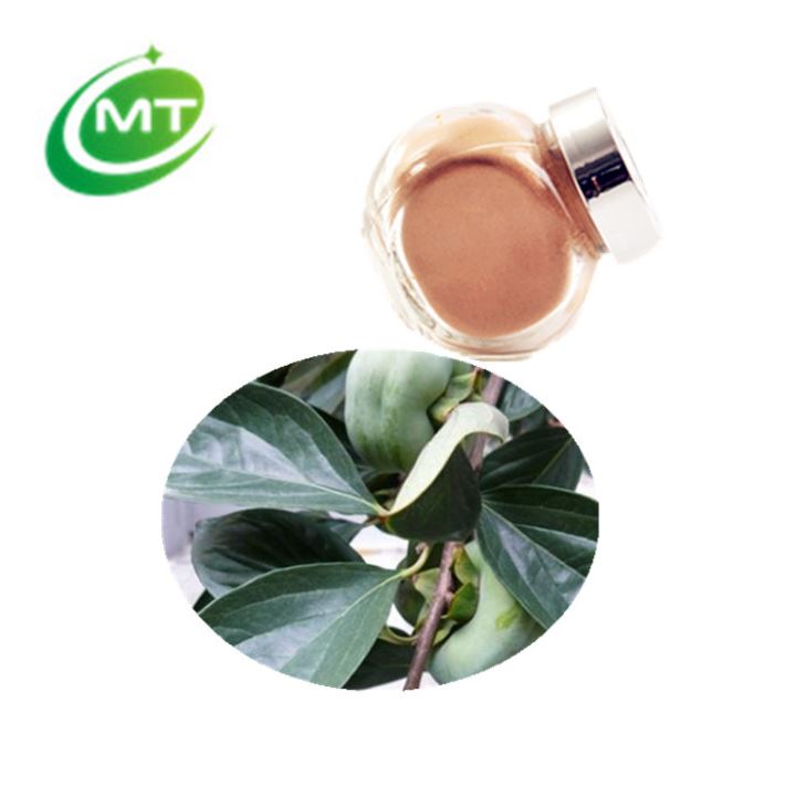 Persimmon Leaf Extract